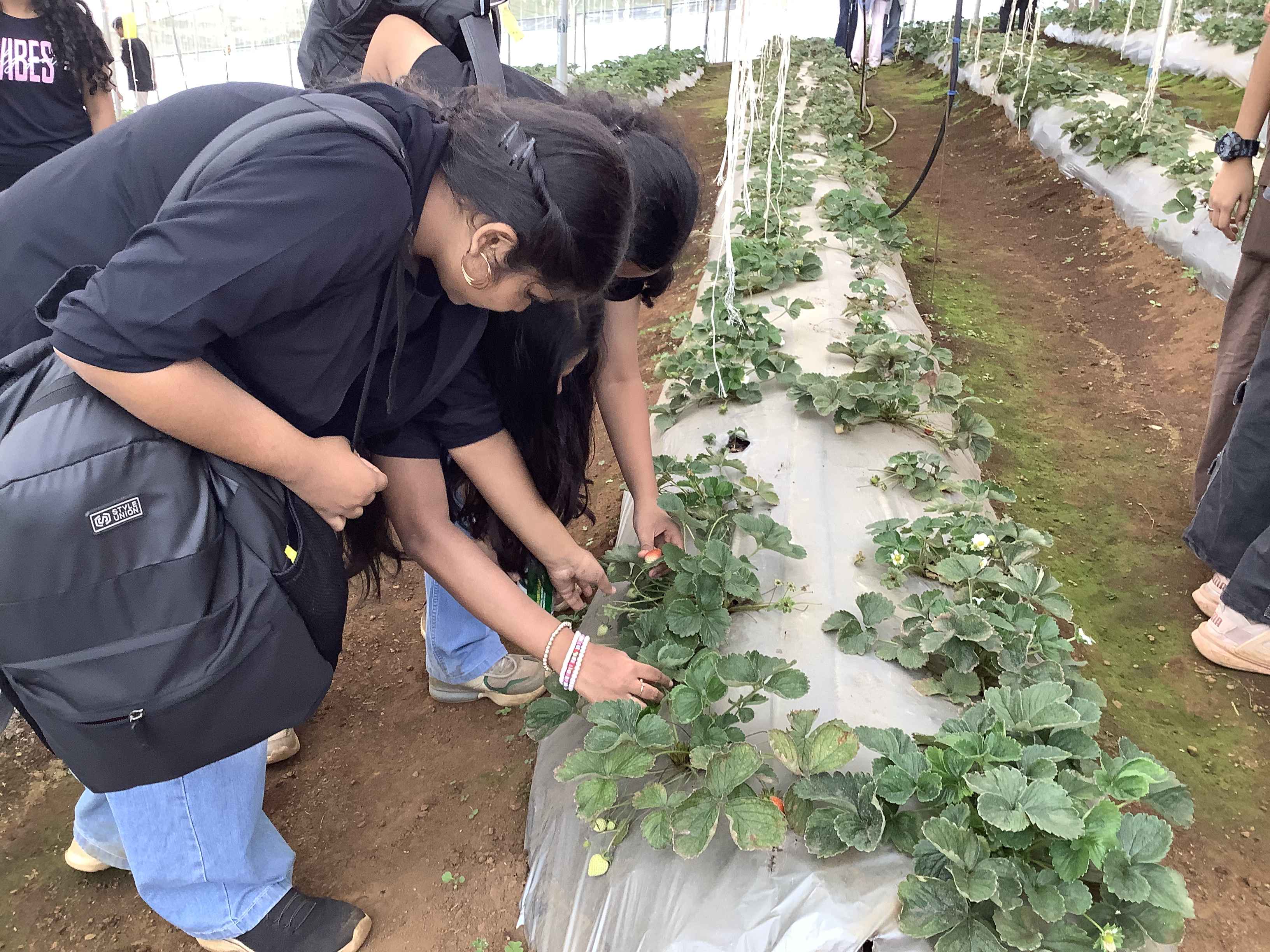 Holistic education for students